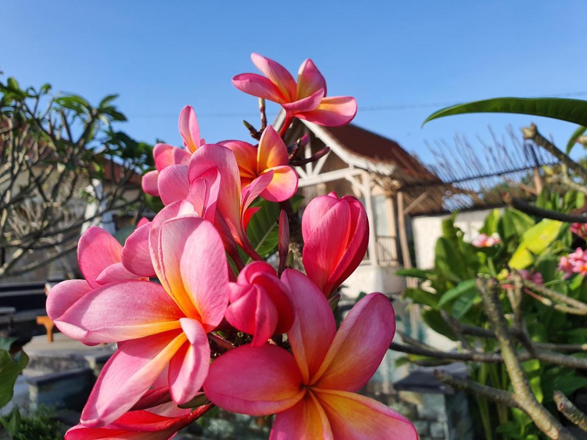 De Jantux Villa Uluwatu Kültér fotó
